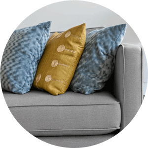 Upholstery Cleaning