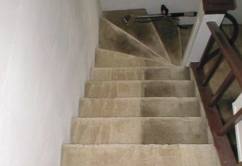 Carpet Cleaning